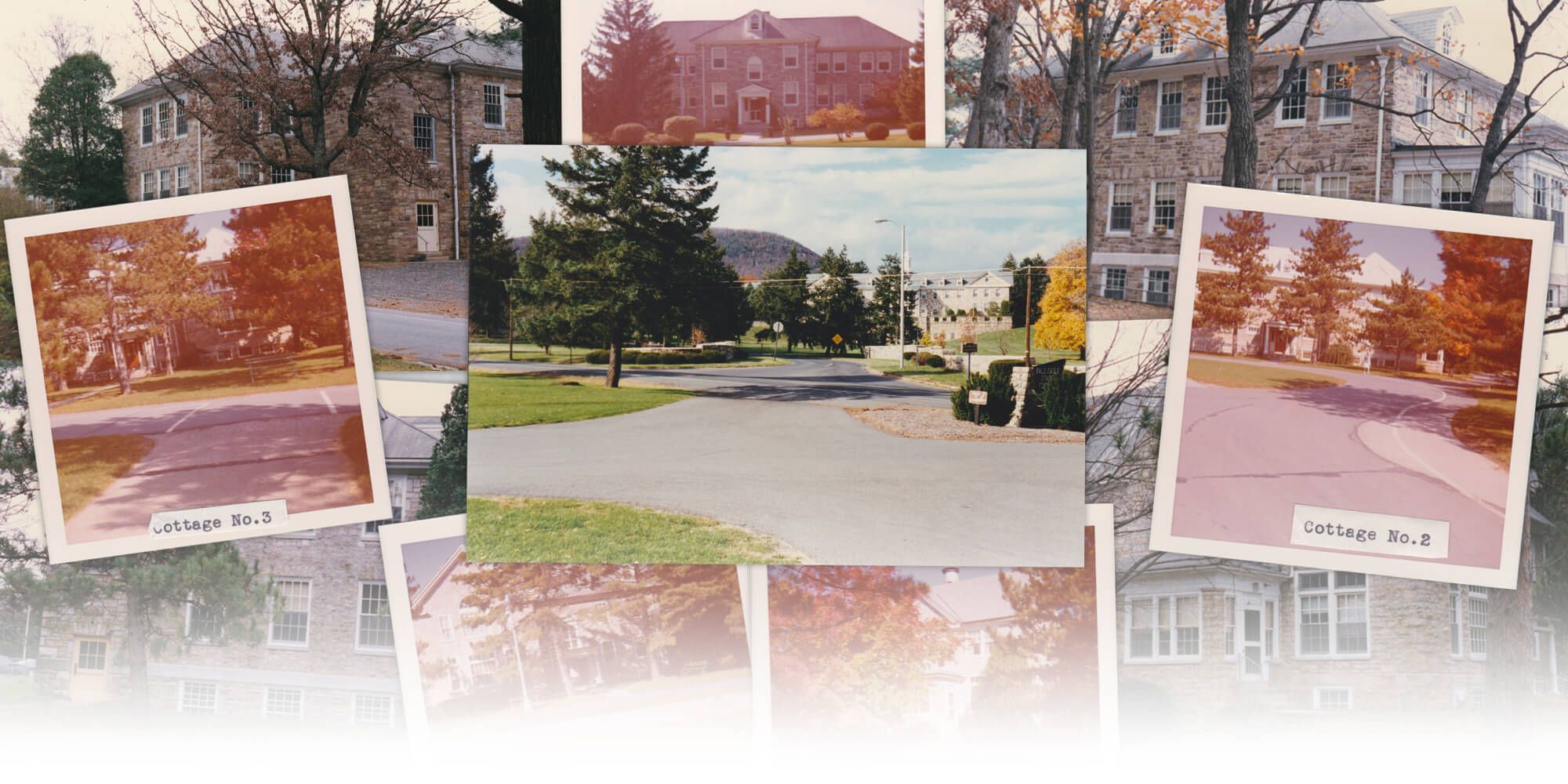 Laurelton Header Updated 1